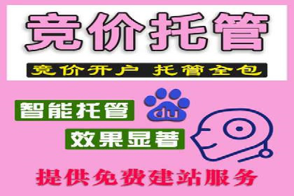 某某SEM服务公司案例分享：从零到一的流量转化策略